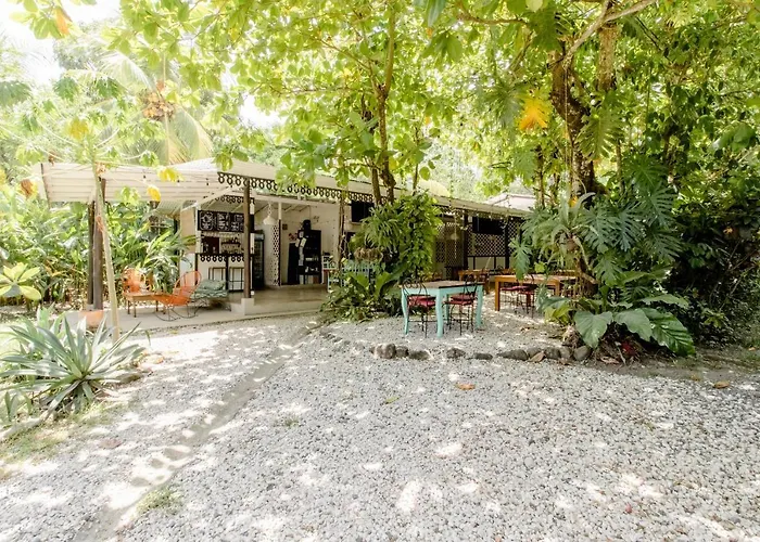 Bajo El Arbol B&B