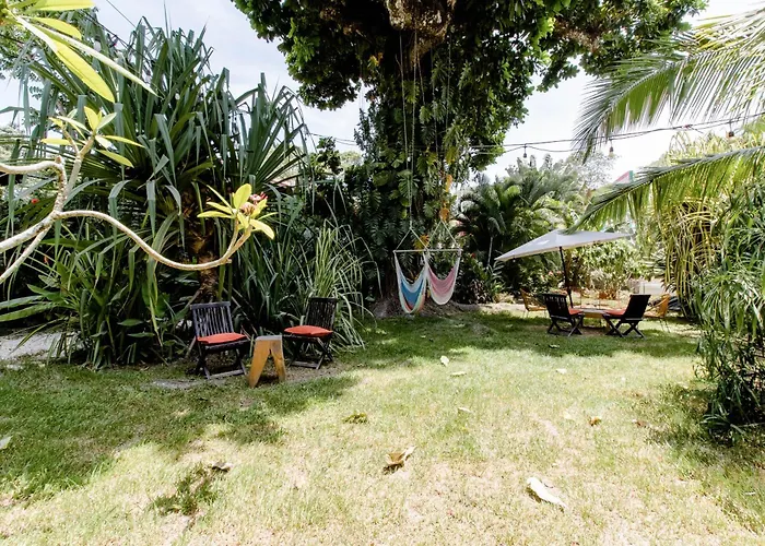 Bajo El Arbol B&B