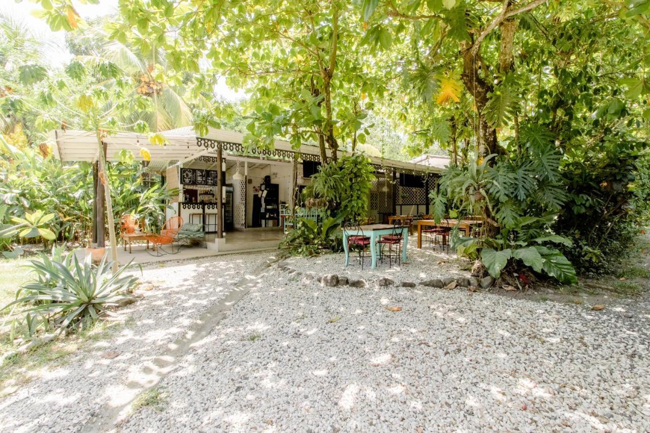 Bajo El Arbol Bed & Breakfast