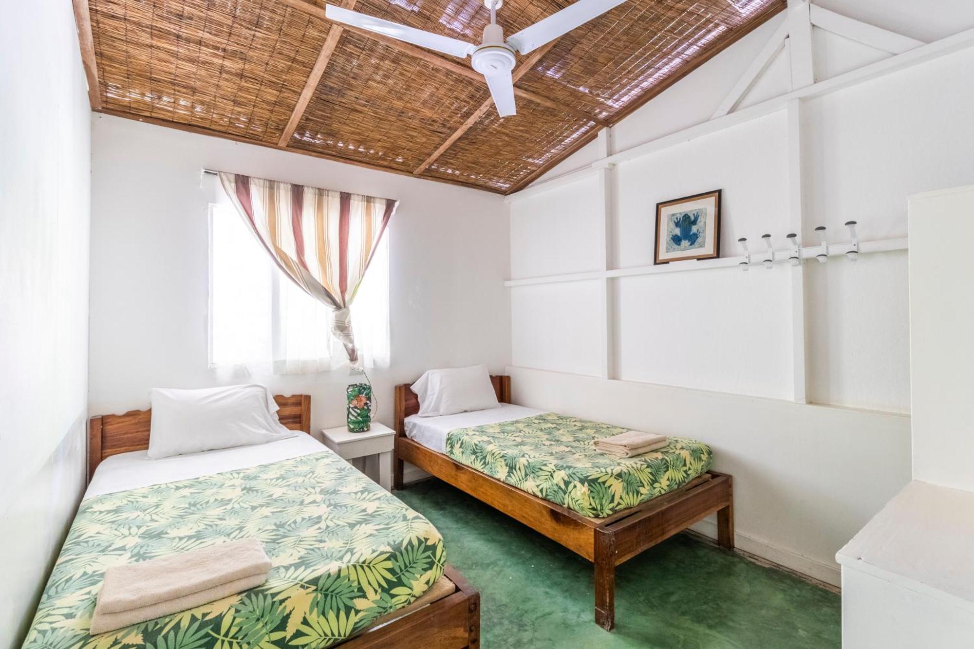 Bed & Breakfast Bajo El Arbol *
