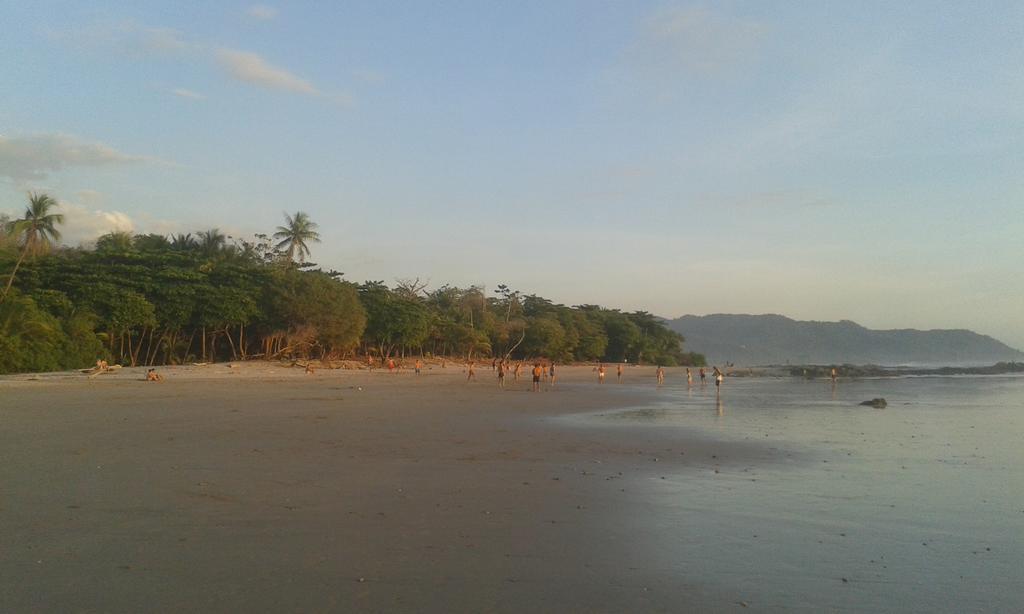 Bajo El Arbol Bed & Breakfast *